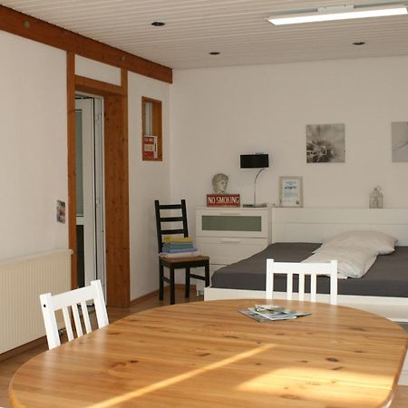 Gemuetliches Grosszuegiges Apartment Höhr-Grenzhausen Extérieur photo