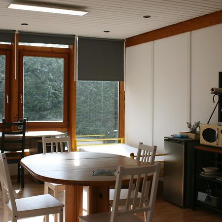 Gemuetliches Grosszuegiges Apartment Höhr-Grenzhausen Extérieur photo