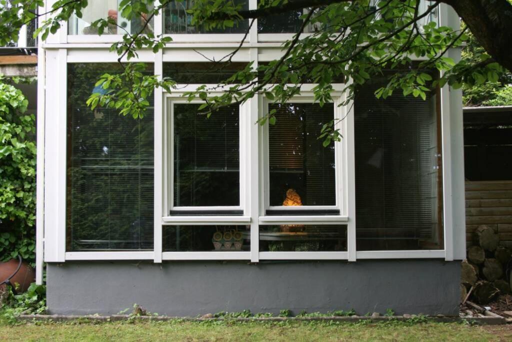 Gemuetliches Grosszuegiges Apartment Höhr-Grenzhausen Extérieur photo
